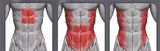 6 Pack Work Out Stretch ABS Abdominal Core Training System With Mat 2 Colours (FE059)