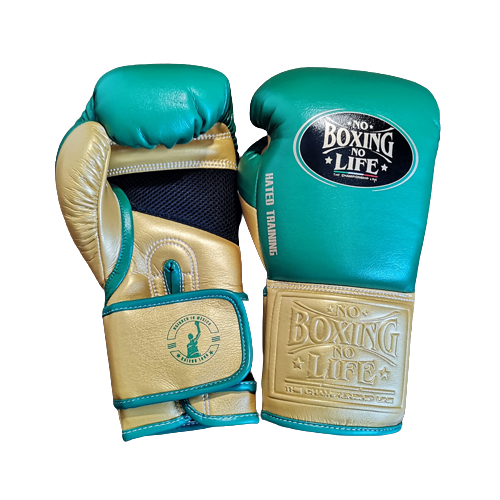 No Boxing No Life BOXING GLOVES HATED TRAINNING SERIES Microfiber 8-16 oz Gold Green