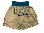 Fairtex Boxing Trunks Shorts S-XL BT2010 Limited Collection