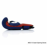 Fairtex BGV13 Coaching Sparring MUAY THAI BOXING GLOVES Microfiber Fabric Size Free