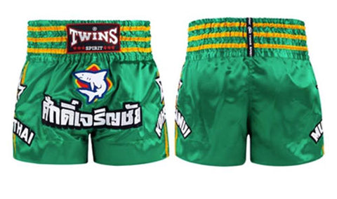 Twins Spirit 160 MUAY THAI MMA BOXING Shorts S-XXL