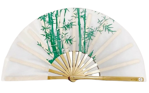 Tai Chi / Kung Fu / Martial Art Combat Performing Left / Right Hand Bamboo Fan 33 cm -MAF025e White Green