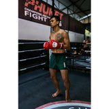 Primo Muay Thai Boxshorts Hologramm Serie S-XXL Vice City 