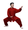 Traditional Martial Art Tai Chi Kung Fu Uniform Suit(U01) Winter Golden Velvet Size S-XXL Unisex Red