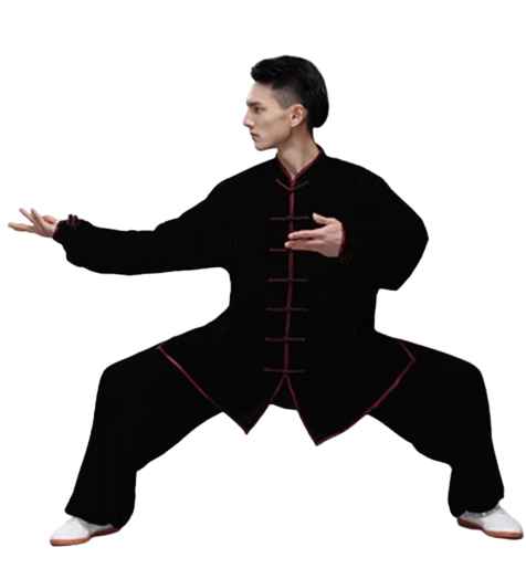 Traditional Martial Art Tai Chi Kung Fu Uniform Suit(U01) Winter Golden Velvet Size S-XXL Unisex Black Maroon