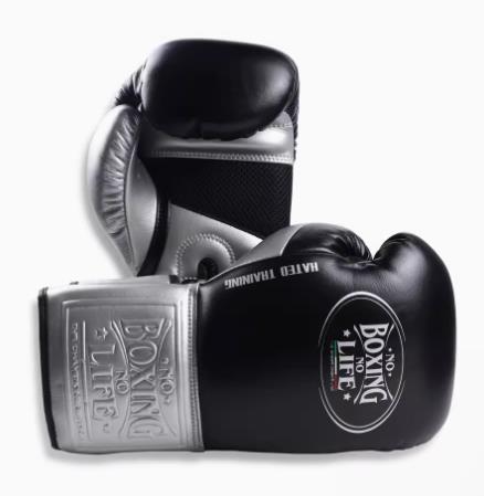 No Boxing No Life BOXING GLOVES HATED TRAINNING SERIES Microfiber 8-16 – AAGsport