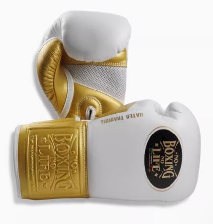 No Boxing No Life BOXING GLOVES HATED TRAINNING SERIES Microfiber 8-16 oz White Gold