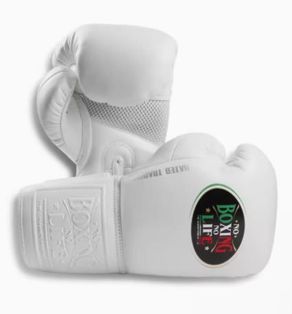 No Boxing No Life BOXING GLOVES HATED TRAINNING SERIES Microfiber 6 oz White