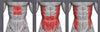 6 Pack Work Out Stretch ABS Abdominal Core Training System With Mat 2 Colours (FE059)