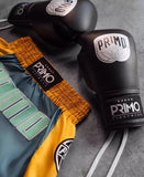 Primo Muay Thai Boxing Shorts Trinity Series S-XXL Teal