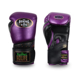 No Boxing No Life Mexico Bloodline Boxhandschuhe zum Schnüren, Rindsleder, 10-14 oz, Metallic-Gold/Silber 