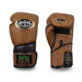 No Boxing No Life Mexico Bloodline Boxhandschuhe zum Schnüren, Rindsleder, 10-14 oz, Metallic-Gold/Silber 
