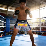 Primo Muay Thai Boxing Shorts Trinity Series S-XXL Grey