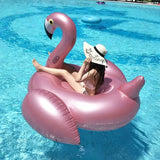Giant Inflatable Flamingo Pool Float 190x190x130 cm
