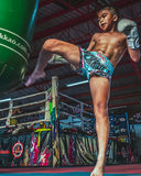 YOKKAO SHARKANDO MUAY THAI MMA BOXING Shorts S-XXL