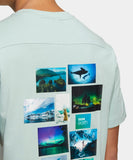 Adidas Men's BBC Terrex GFT T-shirt Size M-4XL