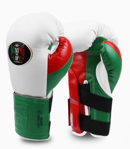 No Boxing No Life BOXING GLOVES SEEK DESTORY Microfiber 8-16 oz Original