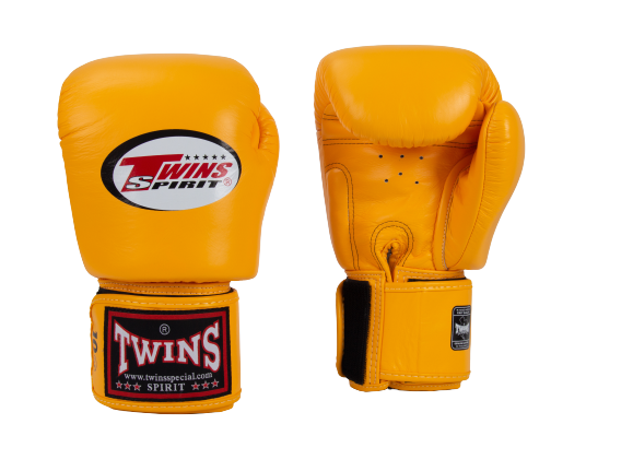 22 oz online boxing gloves