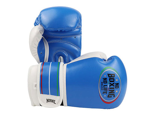 No Boxing No Life Boxing Gloves Kids Extra Wrist Protection Microfiber 4-6 oz Blue