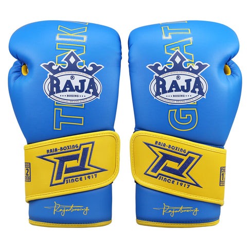 RAJA RBGL-9 MUAY THAI BOXING GLOVES Professional Horsehair Padding Leather 8-14 oz Blue