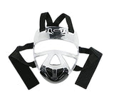Full Face Clear Shield Mask 2.0 Rear Extra Protection For Martial Arts / Taekwondo / MMA / JKD / Wing Tsun Dipped Foam Headgear Guard Protector Adult