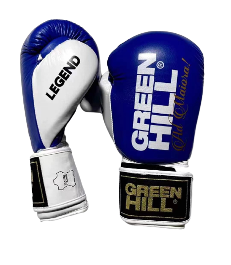 Legend boxing best sale gloves